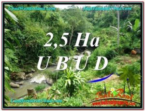 Exotic PROPERTY 26,000 m2 LAND IN Sentral Ubud FOR SALE TJUB579