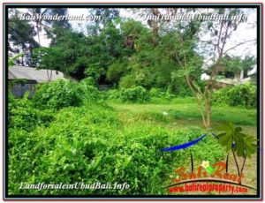 Exotic PROPERTY 1,500 m2 LAND IN Sentral Ubud FOR SALE TJUB600