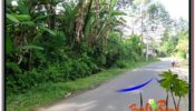 Exotic PROPERTY Ubud Payangan 15,600 m2 LAND FOR SALE TJUB601