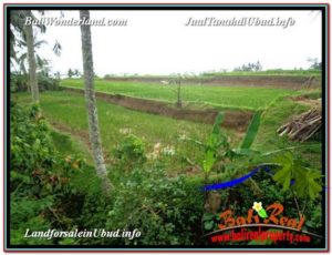 FOR SALE Exotic LAND IN Ubud Tegalalang BALI TJUB578