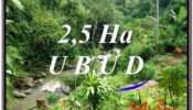 FOR SALE Exotic 26,000 m2 LAND IN UBUD BALI TJUB579