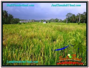 Affordable PROPERTY Ubud Pejeng 850 m2 LAND FOR SALE TJUB583