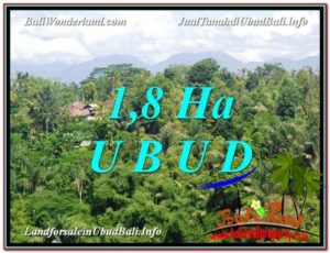 Beautiful PROPERTY 18,000 m2 LAND FOR SALE IN Ubud Tegalalang BALI TJUB589