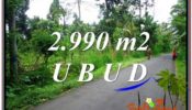 Affordable LAND FOR SALE IN UBUD TJUB591