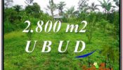 Exotic UBUD BALI 2,800 m2 LAND FOR SALE TJUB592