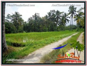 Affordable LAND SALE IN Ubud Tegalalang BALI TJUB594