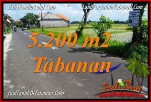 Beautiful PROPERTY LAND SALE IN TABANAN TJTB351