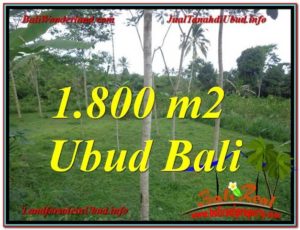 Beautiful PROPERTY LAND IN UBUD FOR SALE TJUB610
