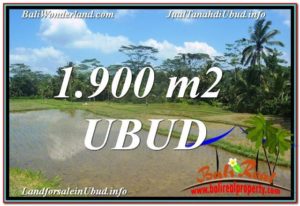 Affordable UBUD BALI 1,900 m2 LAND FOR SALE TJUB629