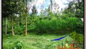 Magnificent PROPERTY LAND IN UBUD FOR SALE TJUB608