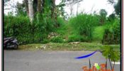 Magnificent PROPERTY LAND IN UBUD FOR SALE TJUB608