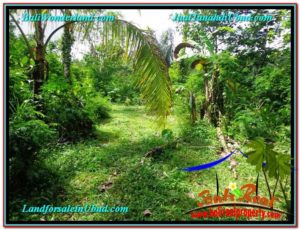Exotic LAND FOR SALE IN UBUD TJUB611