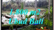 FOR SALE Affordable PROPERTY 1,800 m2 LAND IN UBUD BALI TJUB616
