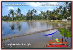 FOR SALE Exotic PROPERTY LAND IN UBUD TJUB619