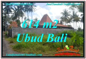 Beautiful PROPERTY Sentral Ubud 614 m2 LAND FOR SALE TJUB622