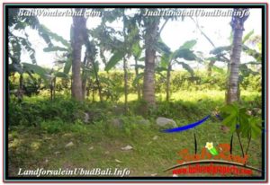 FOR SALE Exotic LAND IN Ubud Payangan BALI TJUB628