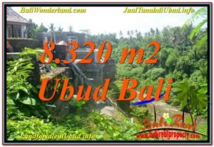 Beautiful 8,320 m2 LAND FOR SALE IN Sentral / Ubud Center TJUB635