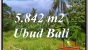 Affordable PROPERTY 5,842 m2 LAND SALE IN UBUD BALI TJUB638