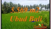 FOR SALE 5,569 m2 LAND IN UBUD TJUB642