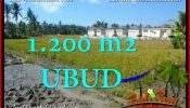 Affordable 1,200 m2 LAND IN UBUD BALI FOR SALE TJUB663