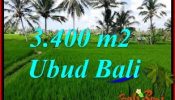 LAND IN Ubud Pejeng FOR SALE TJUB656