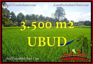 Affordable UBUD 3,500 m2 LAND FOR SALE TJUB660
