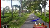 Magnificent LAND IN UBUD FOR SALE TJUB653