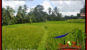 Magnificent LAND IN UBUD FOR SALE TJUB653