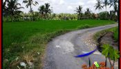 Magnificent LAND IN Ubud Pejeng BALI FOR SALE TJUB656