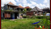 Magnificent PROPERTY LAND FOR SALE IN UBUD BALI TJUB657