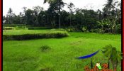 Magnificent PROPERTY LAND FOR SALE IN UBUD BALI TJUB657