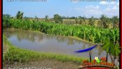 FOR SALE Exotic PROPERTY LAND IN UBUD TJUB659