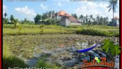 Magnificent PROPERTY LAND FOR SALE IN UBUD BALI TJUB663