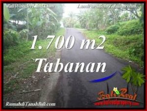 Exotic TABANAN 1,700 m2 LAND FOR SALE TJTB385