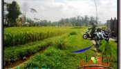 FOR SALE Magnificent PROPERTY 1,500 m2 LAND IN UBUD TEGALALANG TJUB667