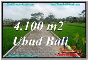Magnificent PROPERTY SENTRAL UBUD BALI 4,100 m2 LAND FOR SALE TJUB676