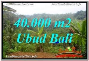 Affordable 40,000 m2 LAND SALE IN UBUD PAYANGAN TJUB679