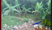 Cheap property 800 m2 LAND FOR SALE IN TABANAN TJTB384