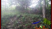 Cheap property 800 m2 LAND FOR SALE IN TABANAN TJTB384