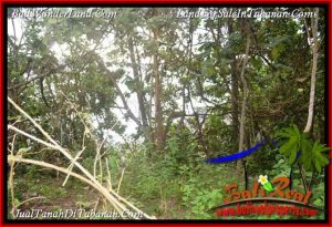 FOR SALE Magnificent PROPERTY LAND IN TABANAN BALI TJTB392
