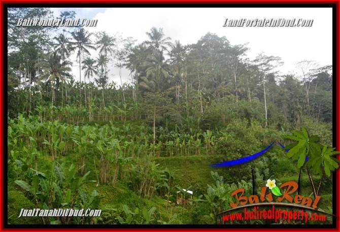 FOR sale Land in Ubud Tegalalang Bali TJUB683