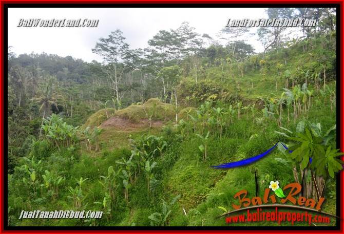 FOR sale Land in Ubud Tegalalang Bali TJUB683