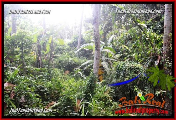 Exotic Land for sale in Ubud TJUB685