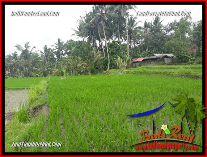 Magnificent Property 2,400 m2 Land for sale in Ubud Pejeng Bali TJUB697