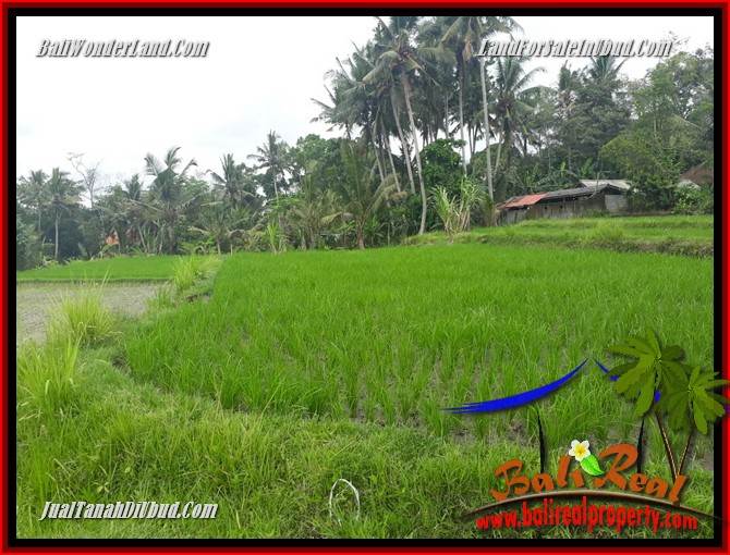 Magnificent Property 2,400 m2 Land for sale in Ubud Pejeng Bali TJUB697