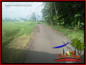 Beautiful Land for sale in Tabanan TJTB407