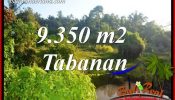 Magnificent 9,350 m2 Land sale in Tabanan Bali TJTB409