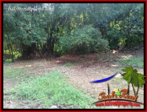 FOR sale Magnificent Property Land in Tabanan TJTB412