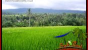 Beautiful Property Land for sale in Tabanan Bali TJTB415