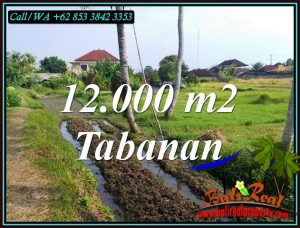 FOR SALE LAND IN TABANAN TJTB502